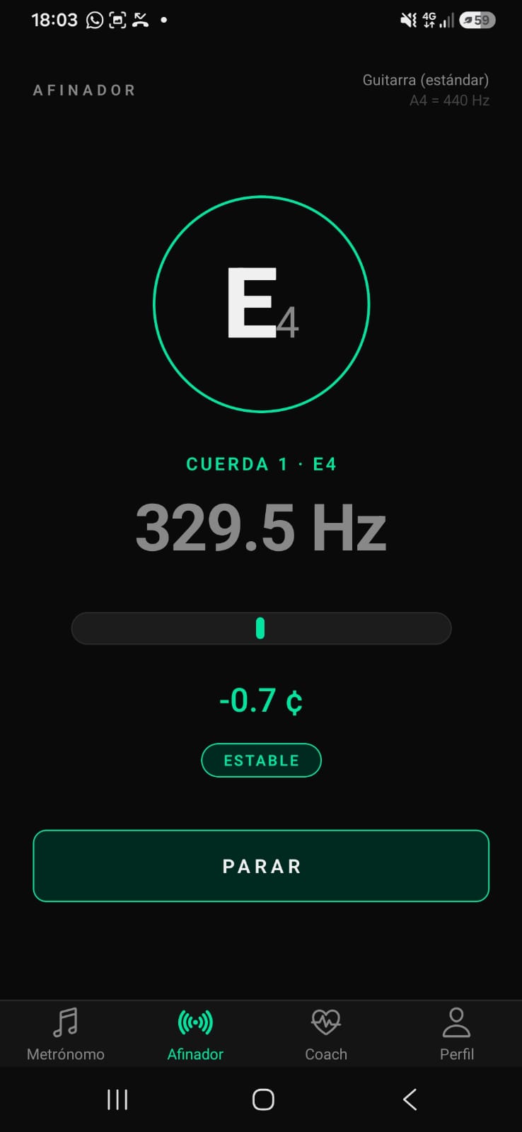 Captura del proyecto PulseTune